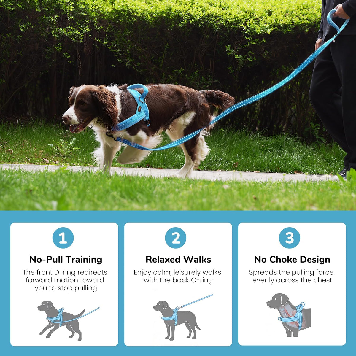 No Pull Dog Harness for Small Dogs, Soft Flannel Padded, XS - XS:chest 15-19" / Blue - image 4