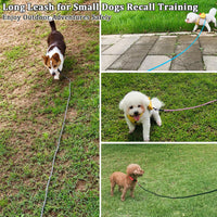 WYuZe 5ft Puppy Leash for Small Dogs Cats - Blue / 16 FT (3~26 lbs) - image 4