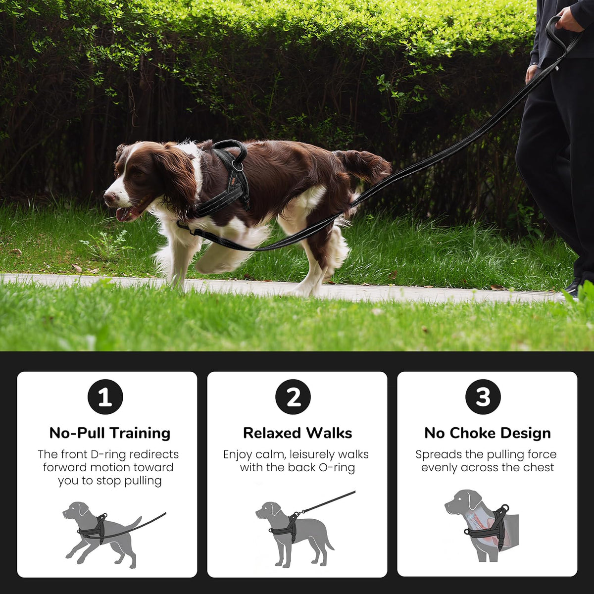 No Pull Dog Harness for Small Dogs, Soft Flannel Padded, XS - M:chest 21-27" / Black - image 4