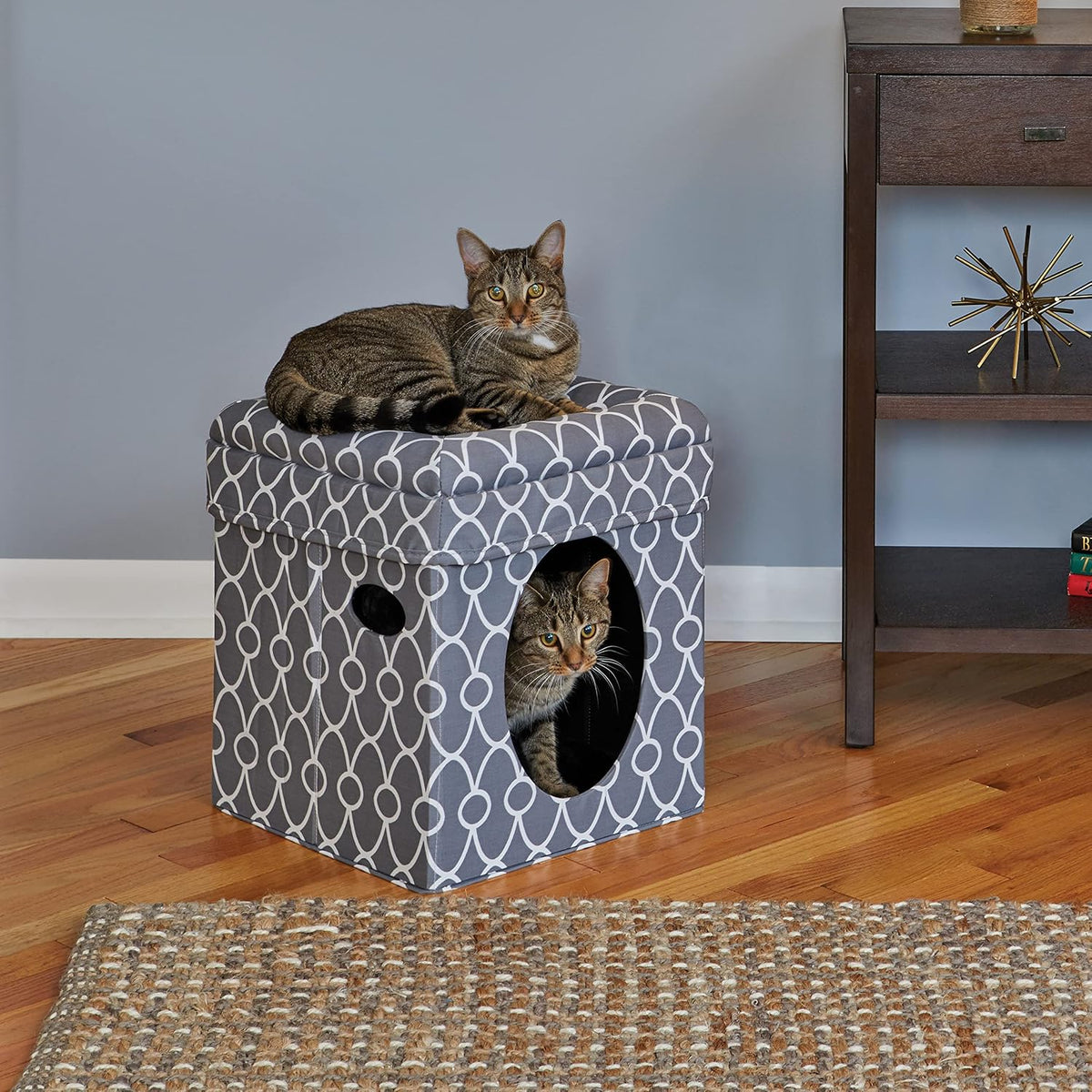 MidWest Homes for Pets Feline Nuvo Curious Cat Cube - Gray / Small - image 2