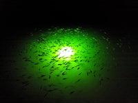 Underwater Fish Light 175-watt Single Dock Light for Fresh or Salt Water, Easy to Install, Attracts Fish, Dusk to Dawn Operation