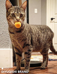 100-Pack Cat Toy Balls – Soft Fuzzy Toys for All Cats to Play and Exercise Indoors (1.5 inch, Cat Toys Pro Collection)