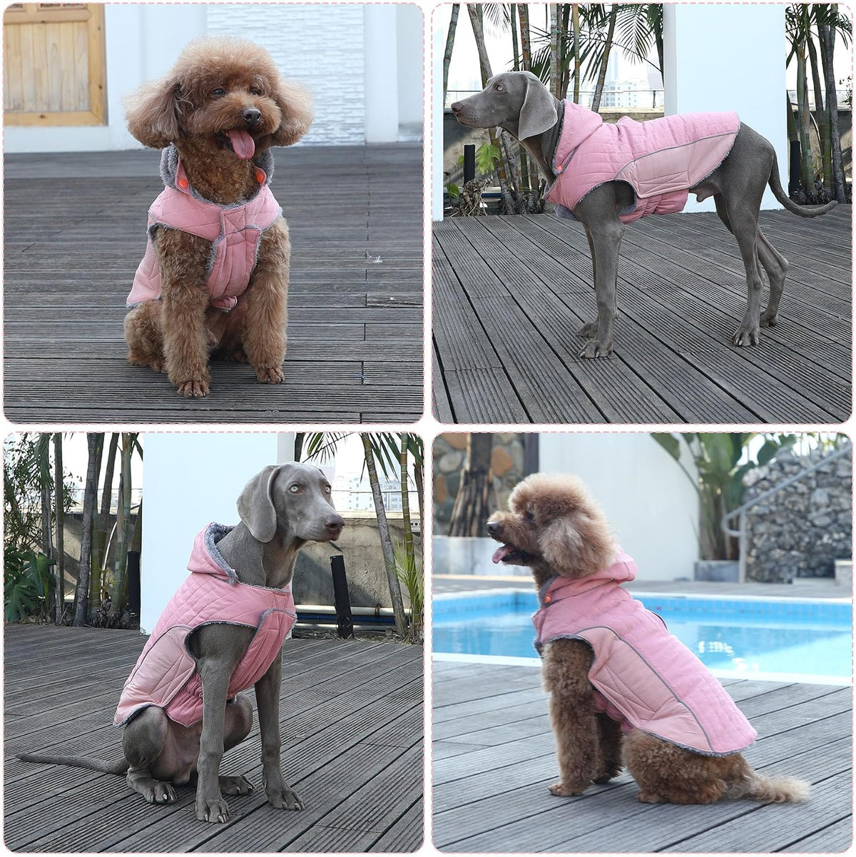 Warm Fleece Dog Hoodie for Small Dogs, Winter Puppy Coats - Pink / X-Small - image 4