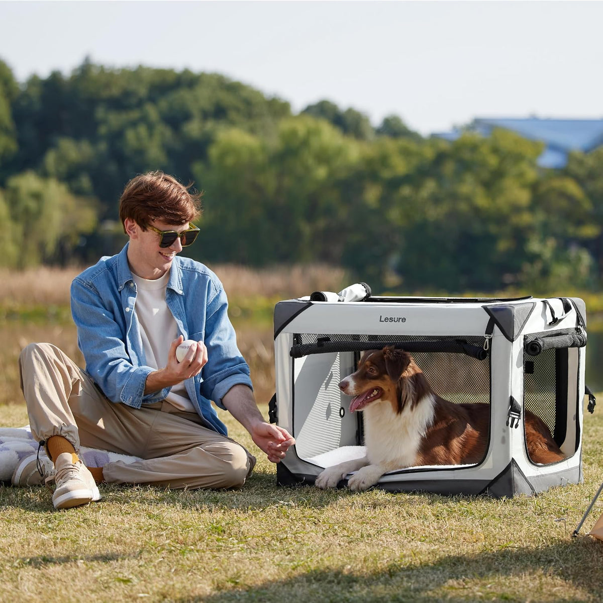 Lesure Portable Soft Collapsible Dog Crate for Large Dogs - Light Grey / 30.0"L x 21.0"W x 21.0"H - image 2