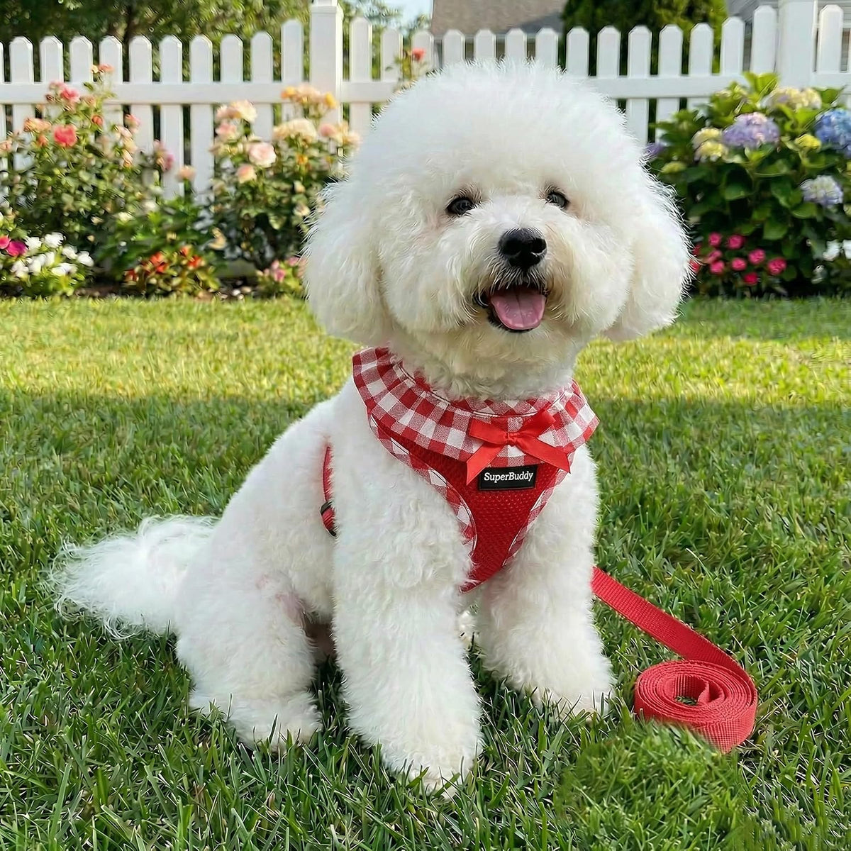 SuperBuddy Upgraded Soft Mesh Dog Harness - XS (Neck Girth 8.6"; Chest Girth: 11"-14") / Passion Red-2 - image 3