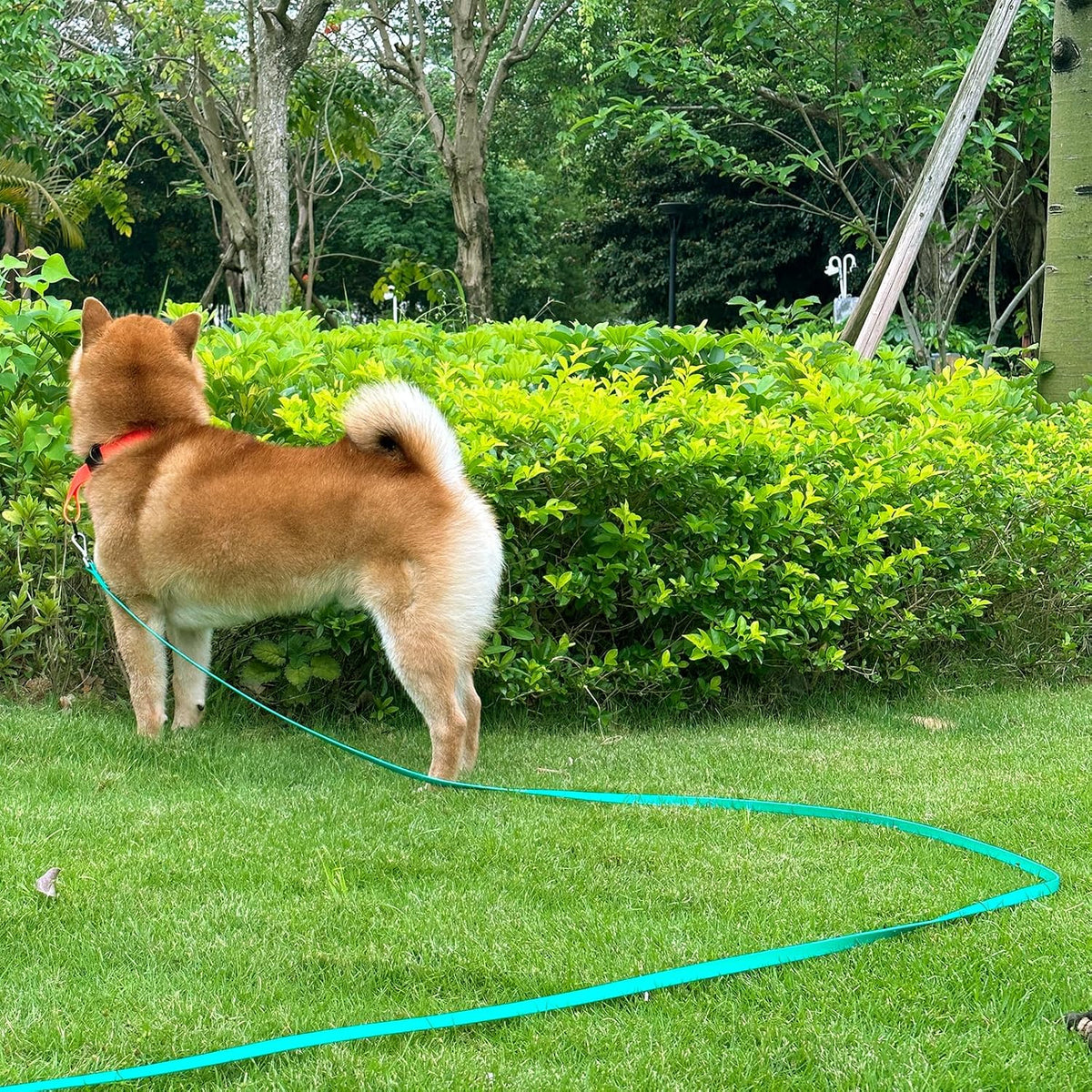 Dog Training Long Leash Waterproof Long Line Heavy Duty Outdoor - 10FT / Dark Green - image 3