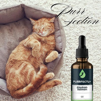 PURRFECTLY Omega-3 Fish Oil for Cats | Premium Senior Blend | Promotes Heart, Immune, Coat & Joint Health | Advanced Alaskan Salmon Oil for Aging Cats | Omega 3, 6 & 9 EPA & DHA (4 Fl Oz (Pack of 1)