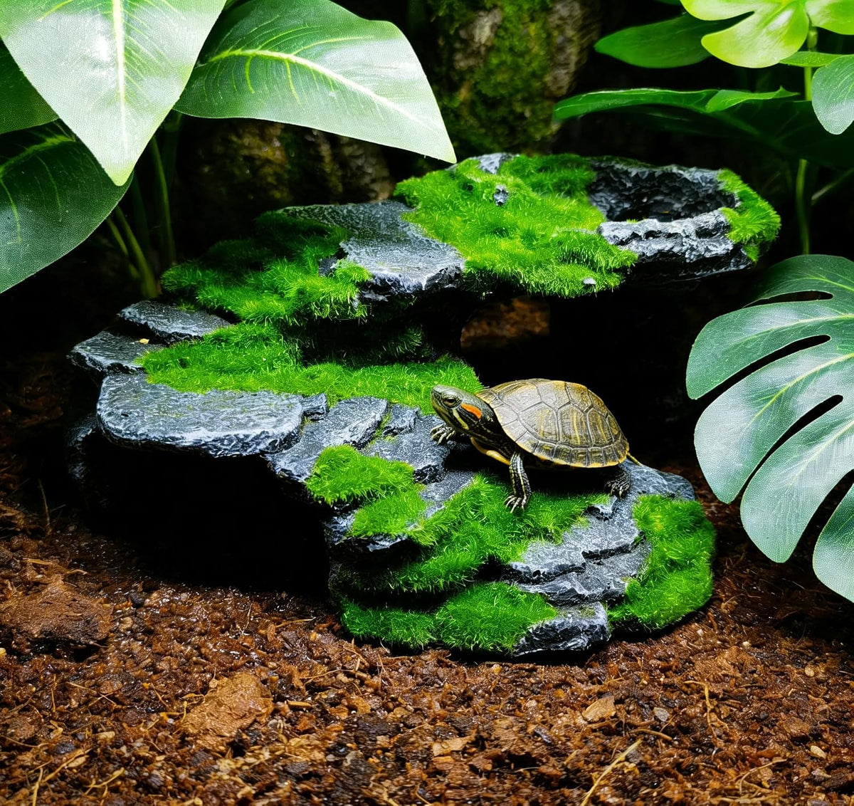 M2cbridge Reptile Hide Resting Step Ledge Cave Hideout Turtle Basking - Moss Step Ledge B - image 3