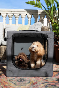 Noah & Paw XXL Collapsible Dog Crate, 42" - Grey / 30.0"L x 21.2"W x 21.2"H - image 3