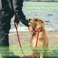 Slip Lead Dog Leash, etc. - 12pcs / 6ft - image 3