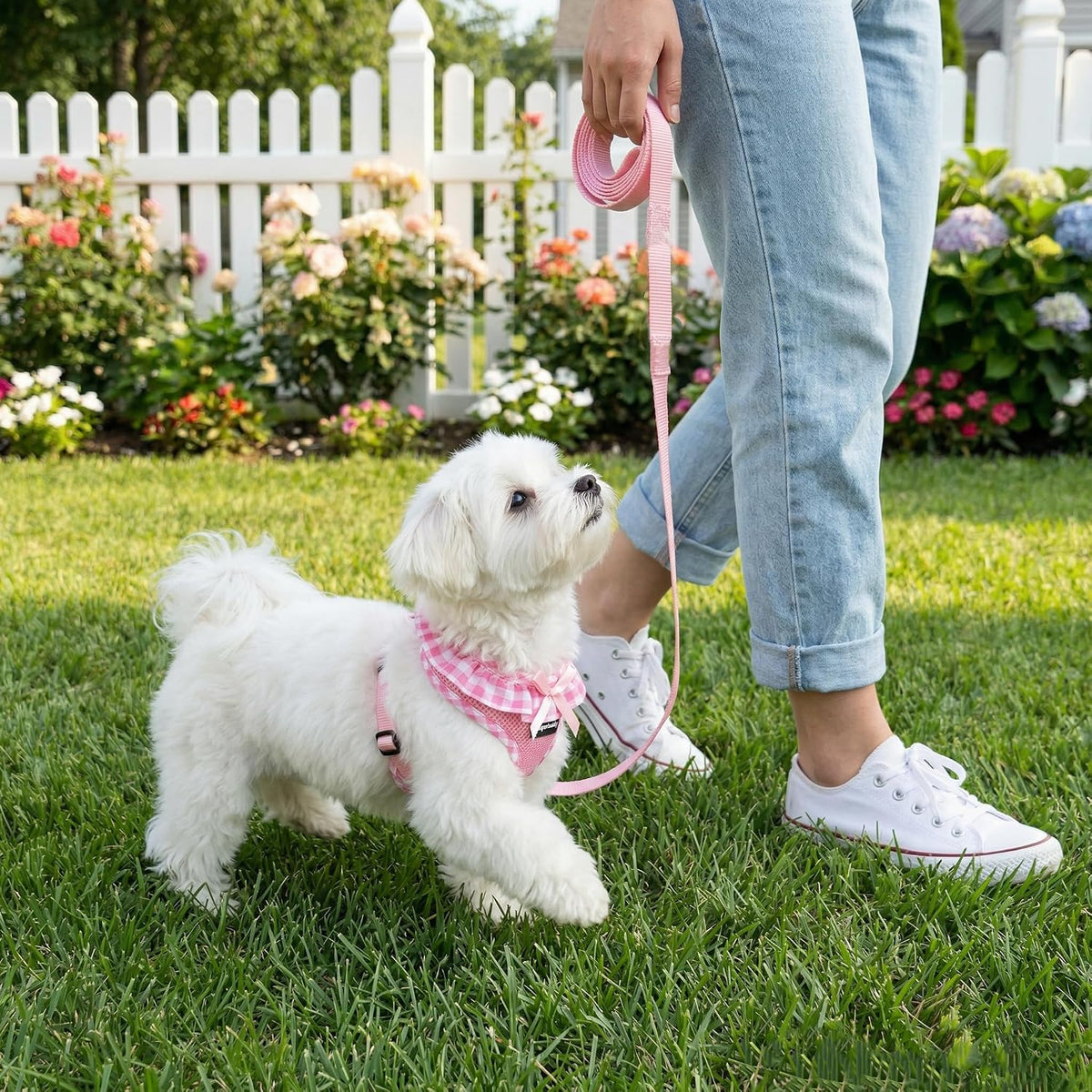 SuperBuddy Upgraded Soft Mesh Dog Harness - S (Neck Girth 11"; Chest Girth: 12"-16") / Adorable Pink-2 - image 2