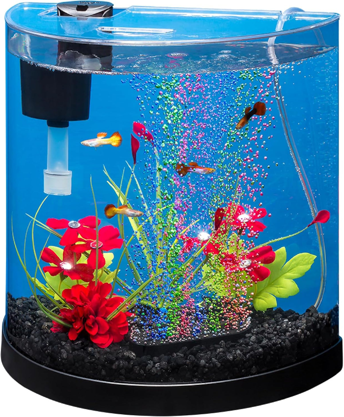 Tetra Half-Moon 3 Gallon Starter Fish Tank Kit – Essentials for Fish - 3 Gallon / General