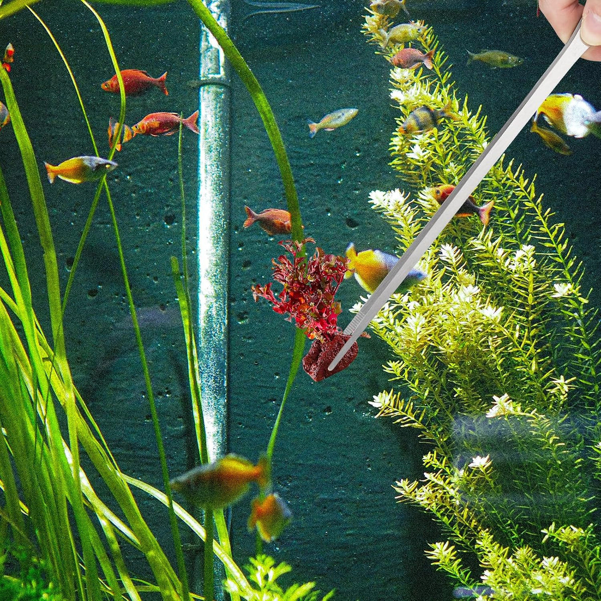 Fri4Free 2PCS 10.6" Stainless Steel Aquarium & Reptile Feeding - image 2