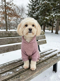 Fitwarm Collared Neck Plaid Dog Pajamas - Large / Pale Violet Red - image 4