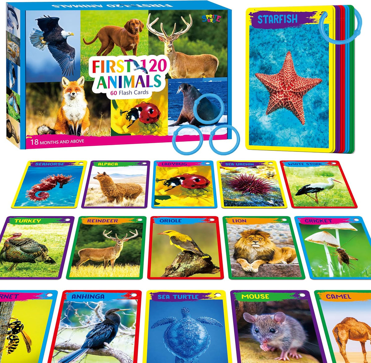 SpriteGru Spanish flashcards for toddlers with colorful cartoon images on rings - view 7