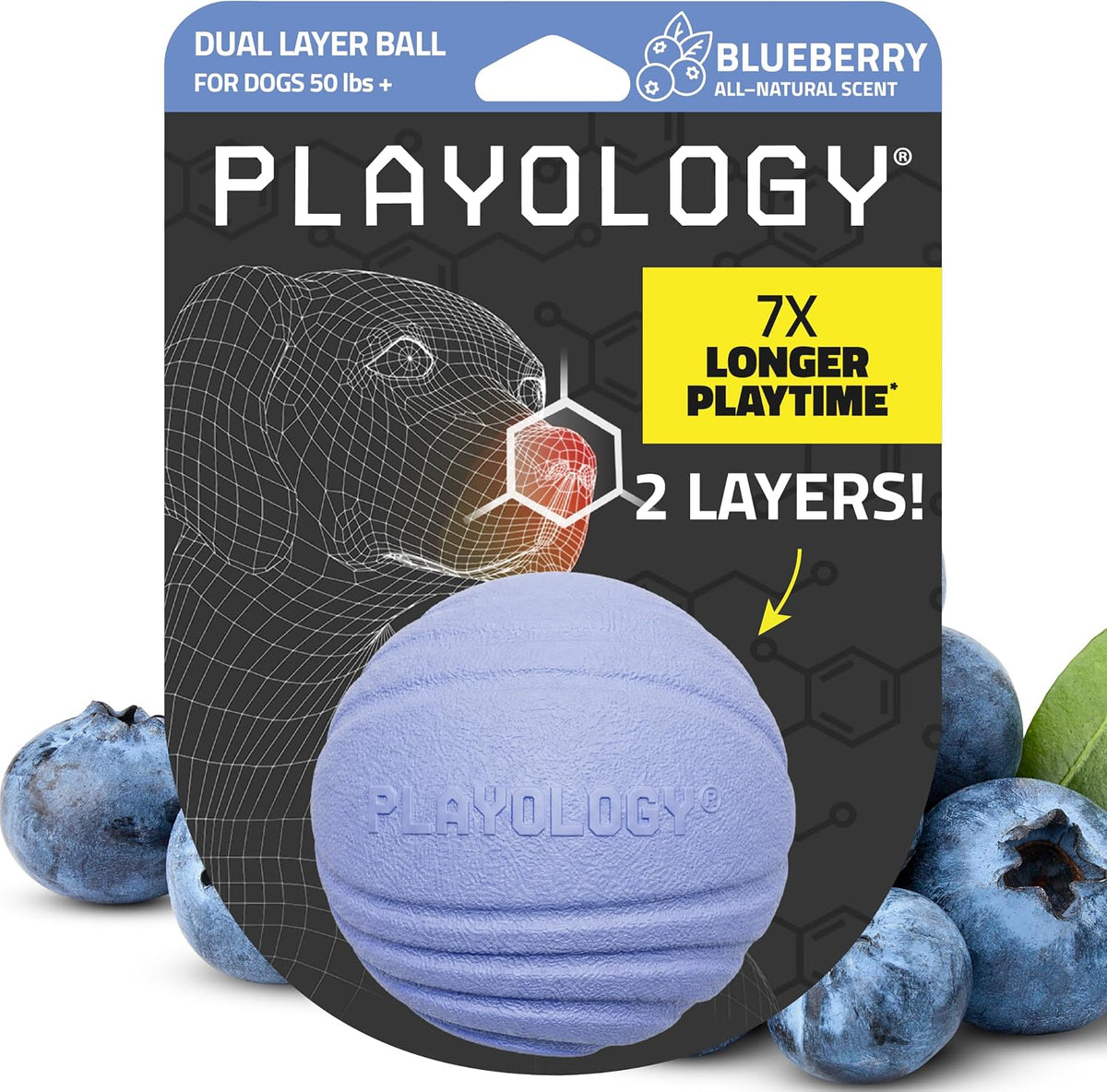 Playology Durable Large Dual Layer Dog Ball, Peanut Butter Scent - Jumbo / Blueberry