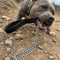 Heavy Duty Dog Chain Leash - 4 ft. x 3.0 mm (0-80 lbs.) - image 2