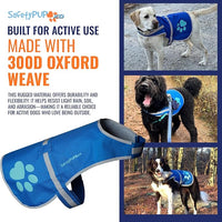 Dog Reflective Vest – Hi-Vis Fluorescent Visibility That Helps to Safeguard Your Pet On/Off Leash in Urban & Rural Areas (Blue, Medium)