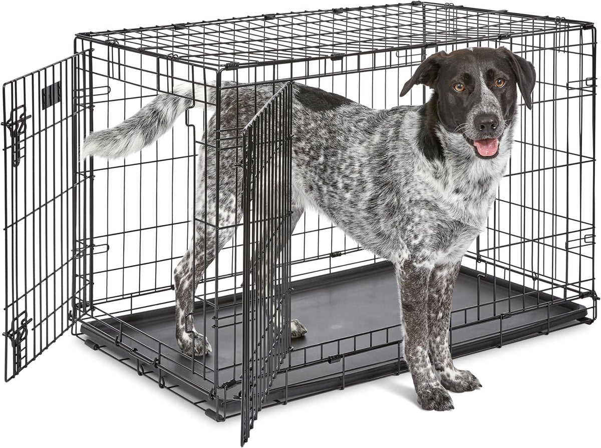 Midwest 36-Inch Single Door iCrate, for Medium-Large Breeds - Black - Double Door / Intermediate (36"L)