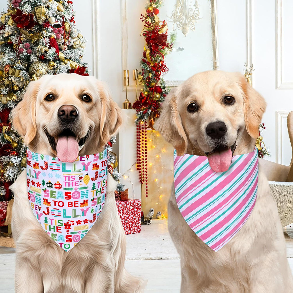 Fall Dog Bandanas Large 3PCS - 26-Color fonts / Large - image 2