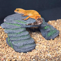 PENN-PLAX Reptology Shale Scape Step Ledge & Cave Hideout - Small - image 2