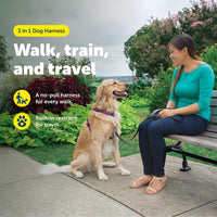 PetSafe 3 in 1 No-Pull Dog Harness, Walk, Train or Travel - Plum / Large (Pack of 1) - image 2