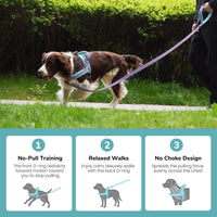 No Pull Dog Harness for Small Dogs, Soft Flannel Padded, XS - M:chest 21-27" / Mixed-Blue - image 4