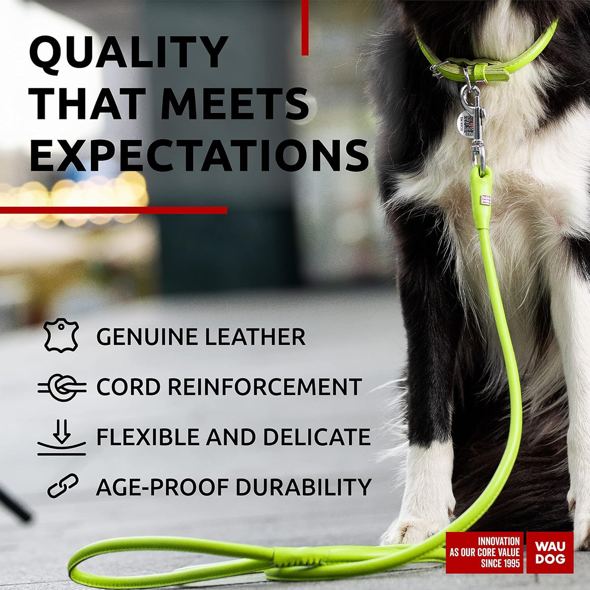 WAUDOG Rolled Leather Dog Leash 4Ft * 0.3 in for Small Medium - Green / 4Ft * 0.4 in - image 3