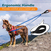 PetBonus Two Point Control Dog Leash, Works with No Pull Harnesses, No Tangle Dog Training Leashes, No Pull Padded and Reflective Walking Lead, Converts to Single Leash for Medium Large Dogs (Blue)