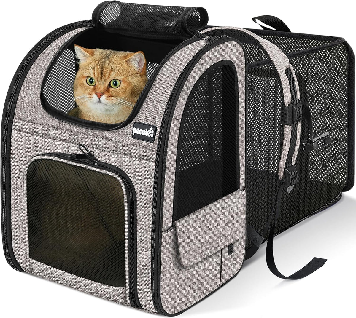 pecute Cat Backpack Expandable - Brown / 12.6"L x 10.2"W x 16.5"H / Mesh Window