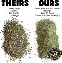 Fiend Catnip + Silvervine for Cats & Kittens Safety-Cut Premium Fine Cat Nip Blend with Vegan Silvervine + Sticker – Ultra Potent, North American – 1 Cup (34.5g) Go Ahead, Create a Monster!
