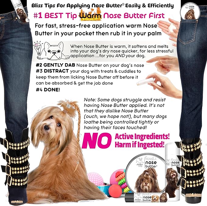 The Blissful Dog Havanese Unscented Nose Butter - Dog Nose Butter, 16 Ounce
