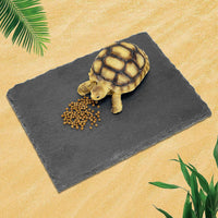 Rock Basking Platform with Bowl & Mat for Reptiles Small – Essentials for Reptiles And Amphibians - Small