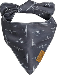 Remy+Roo Logan Spring Dog Bandanas Large, Plaid - Small - image 2