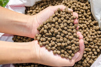 | Premium Floating Fish Food | Pond and Lake | Pellets | 2 Pounds