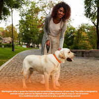 Martingale Dog Collar, Adjustable No Buckle Slip Collar, XS - Orange / Large(Length:18-26'', Width:1'') - image 2