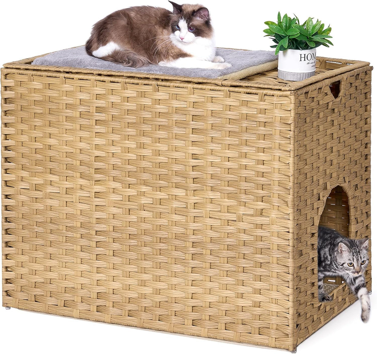 Large Cat Litter Box Enclosure - 30.3'' L X 18.2'' W X 20.5'' H / Natural