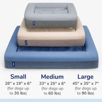 Casper Dog Bed, Plush Memory Foam - Blue / Small - image 3