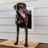 PetSafe Wall Entry Pet Door, Telescoping, Dogs up to 100 lb - Large - image 2