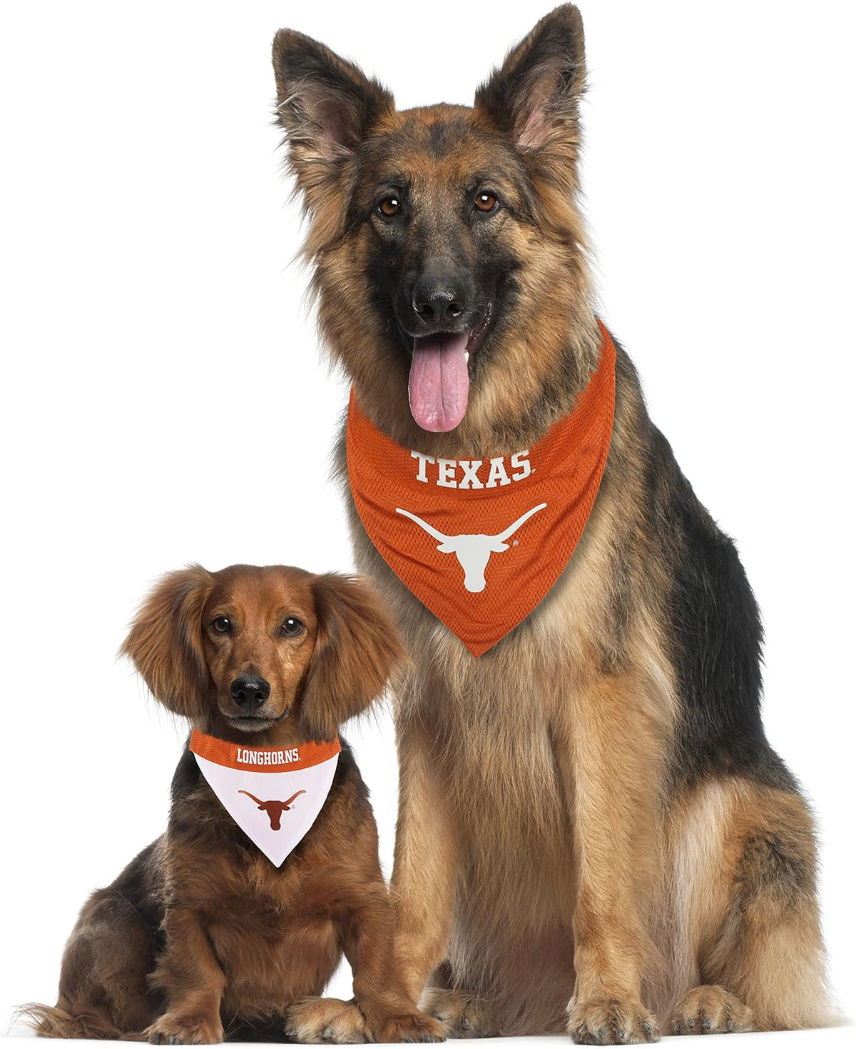 Pets First Collegiate Pet Accessories, Reversible Bandana - Large/X-Large / Texas Longhorns - image 4