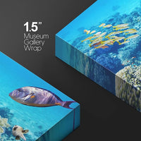 wall26 Canvas Print Wall Art Tropical Underwater Ocean Sea Fish Reef Nature Animals Photography Realism Rustic Scenic Landscape Wilderness Earth Colorful for Living Room, Bedroom, Office - 12"x18"