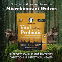 Vital Probiotics for Dogs - Wolf Microbiome, Daily Digestive Health, Dog Probiotics for Digestive Health, Powder Probiotic Supplement, Prebiotics & Postbiotics, Veterinarian Developed, 30 Packets