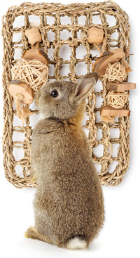 andwe Rabbit Seagrass Protector Mat with Toys – Essentials for Small Pets