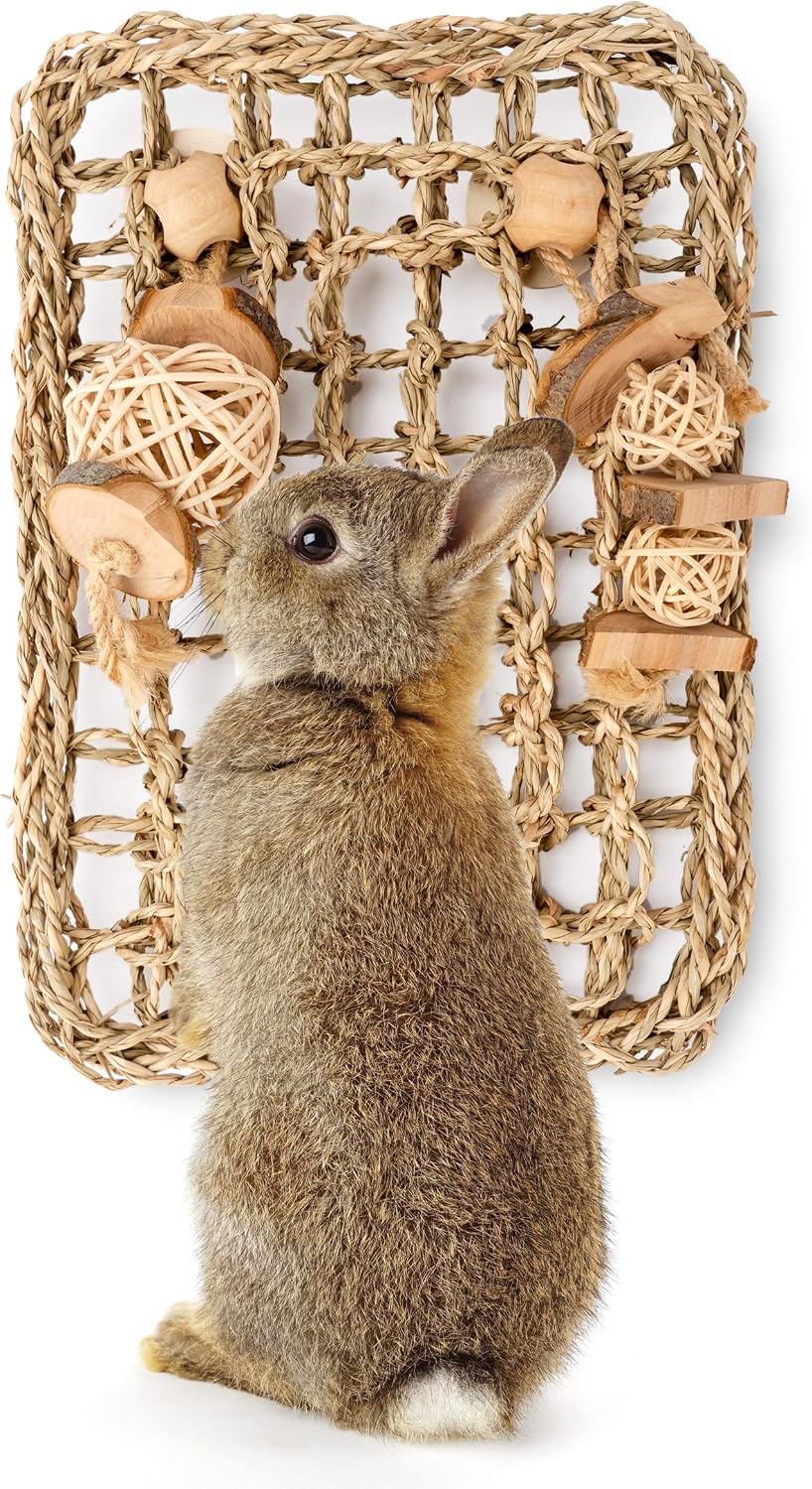 andwe Rabbit Seagrass Protector Mat with Toys – Essentials for Small Pets