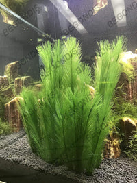 Aquarium Decorations 3Pcs Fish Tank Artificial Green Water Plants - 11", 3 Pcs, Green - image 3