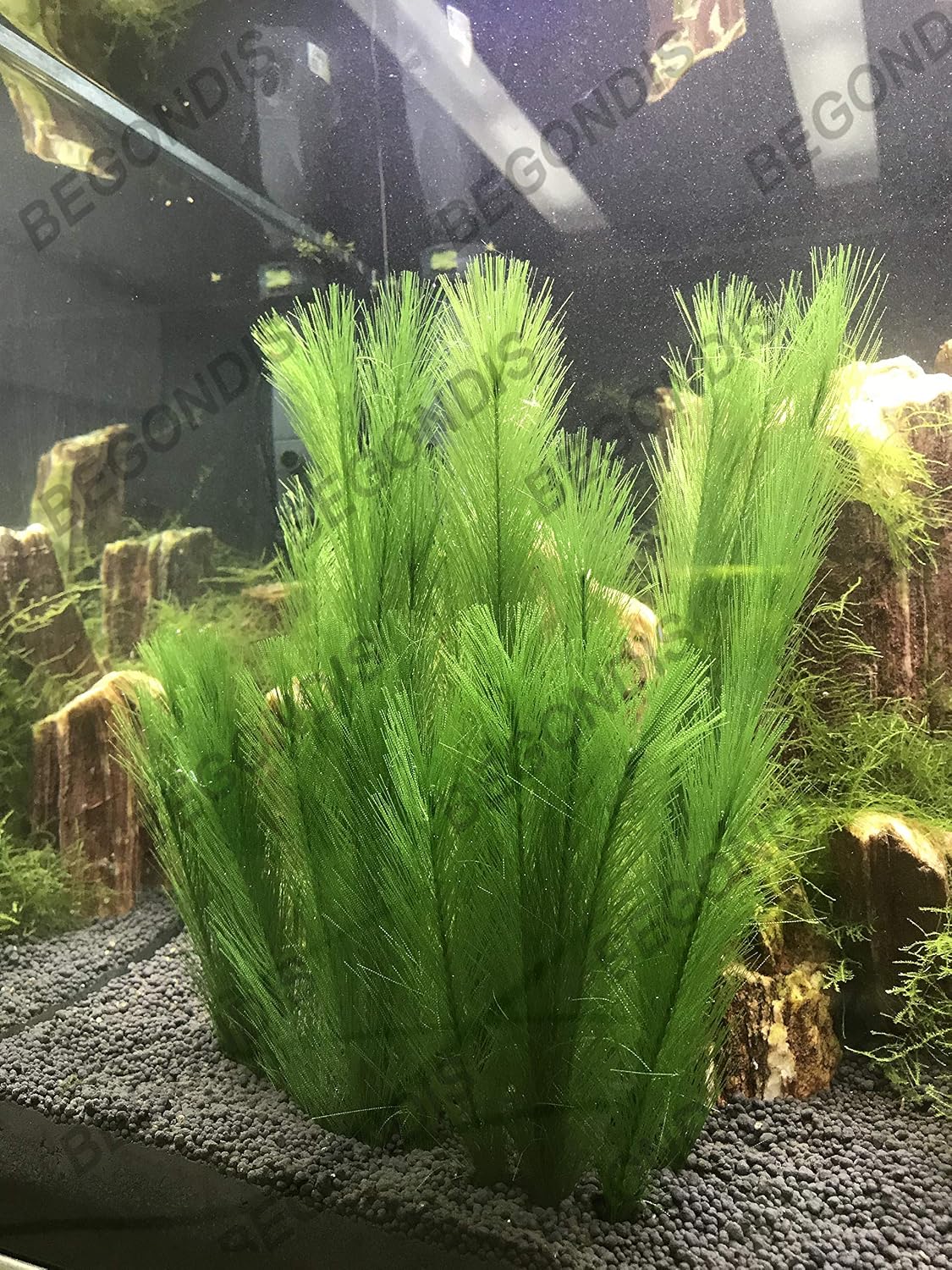 Aquarium Decorations 3Pcs Fish Tank Artificial Green Water Plants - 11", 3 Pcs, Green - image 3