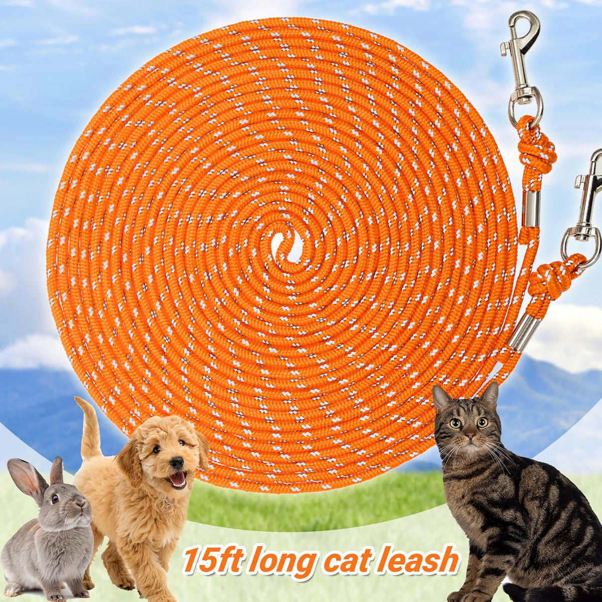 Long Cat Leash Reflective Pet Rope for Yard Walking Training Outdoor - orange / 15 ft - image 2