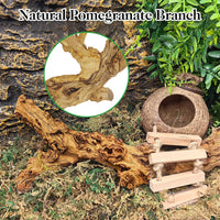 VCEPJH Snake Climbing Branch - Pomegranate Wood (L:13.7"-15.7"-2pcs) / 2 - image 4