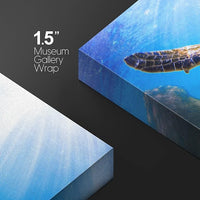 wall26 Canvas Print Wall Art Sunlight Ray Tropical Turtle Swimming Ocean Nature Animals Photography Realism Rustic Scenic Landscape Wilderness Colorful for Living Room, Bedroom, Office - 12"x18"