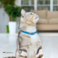 CollarDirect Leather Cat Collar, Kitten Collar with Removable Bell Black Blue Red Orange Lime Green (8-11 Inch, Light Blue)